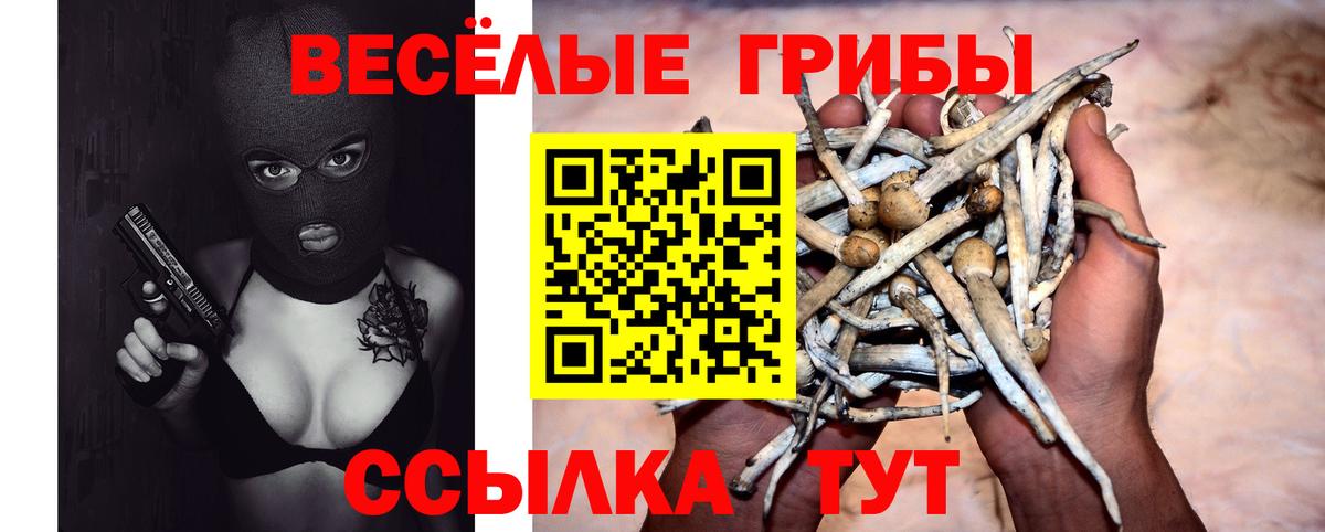 Псилоцибиновые грибы мицелий Грозный